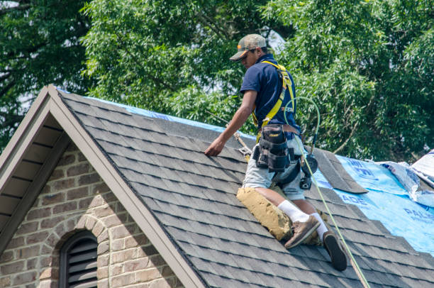 Best Gutter Installation and Roofing  in Windsor, VA